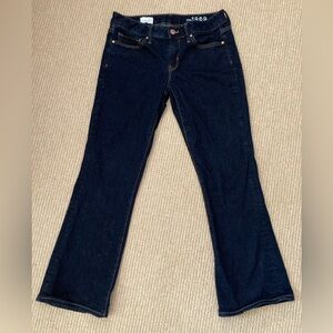 GAP 1969 Long and Lean Jeans 27S